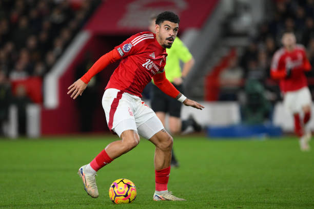 可以立竿见 可以立竿见